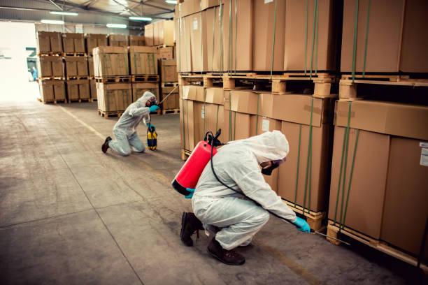 Best Wasp Removal Services  in Wayne, MI