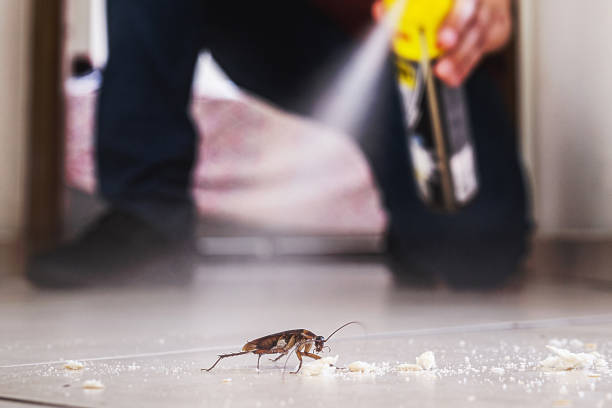 Best Pest Prevention Services  in Wayne, MI