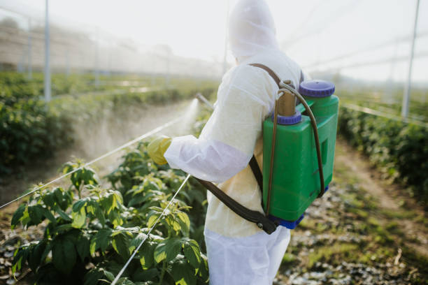 Best Pest Removal Services  in Wayne, MI